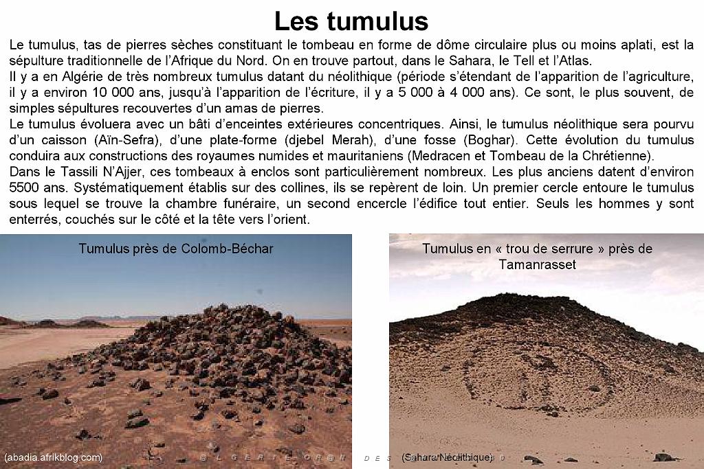 080 ARCHEOLOGIE AERIENNE_000005.jpg